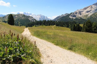 Croda Rossa from Prato Piazza