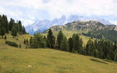 Prato Piazza 'dan Monte Cristallo (Dolomitler))