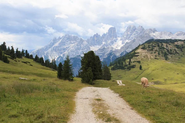 Prato Piazza Dan Monte Cristallo Dolomitler — Stok fotoğraf