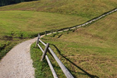 the path through meadows of Croda Rossa - Dolomites of sixth