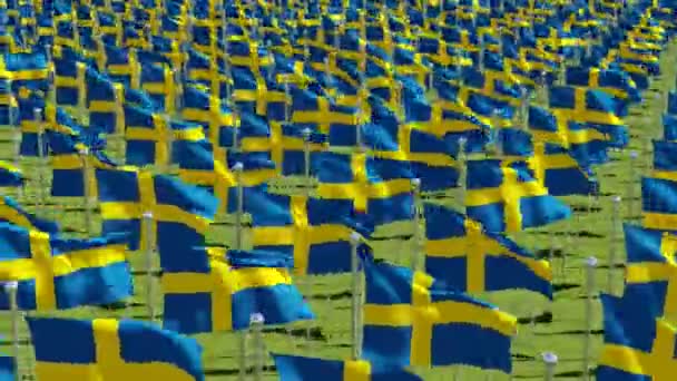 多くのスウェーデン フラグは 晴れた日に緑の草原の風の吹きます レンダリング アニメーション — ストック動画