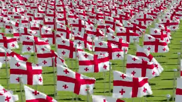 Muchas Banderas Georgia Campo Verde Día Soleado Representación Tridimensional Animación — Vídeo de stock