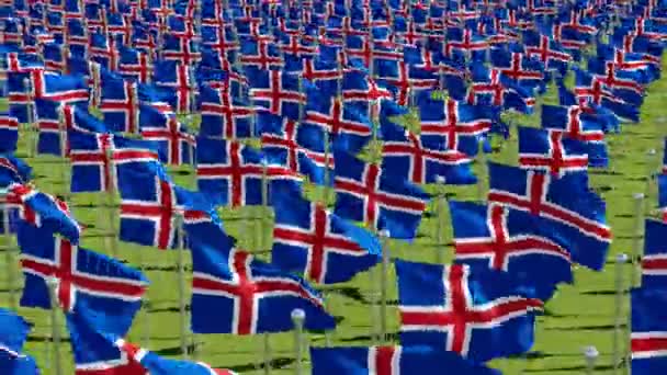 在晴朗的日子里 冰岛的许多旗帜在绿色的田野里 三维渲染3D — 图库视频影像