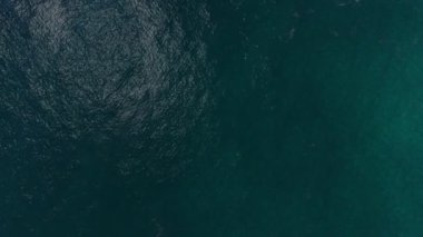 Vergi cenneti, mali veya bir dolar servet kaçırma ada şeklinde. Üç boyutlu 3d animasyon oluşturma.