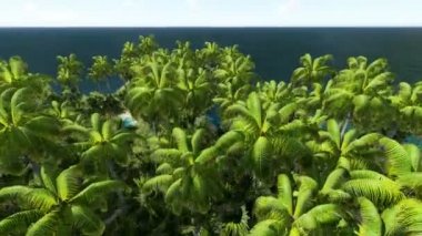 Doları ada şeklinde. Egzotik ada şeklinde soyut doları sembolü. İş başarı kavramı. 3D render animasyon.