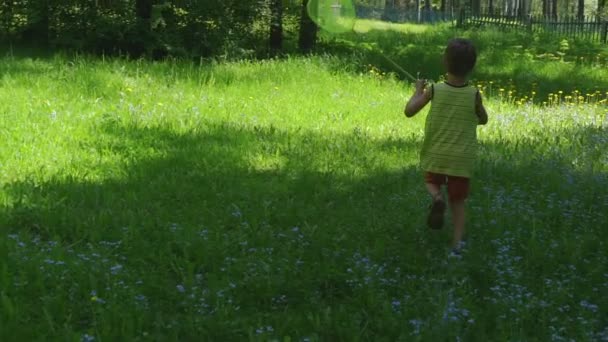 小さな男の子がスローモーションで緑の草原に捕虫網で蝶をキャッチ — ストック動画