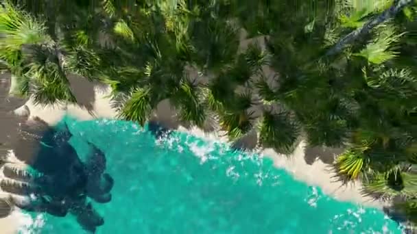 在海洋中的比特币形状的热带岛屿的顶部视图 三维渲染3D — 图库视频影像