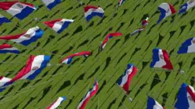 Yeşil alan, rüzgarda üfleme Paraguay bayrakları yukarıdan görüntüleyin. 3D render animasyon