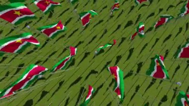 Yeşil alan, rüzgarda üfleme Surinam bayrakları yukarıdan görüntüleyin. 3D render animasyon