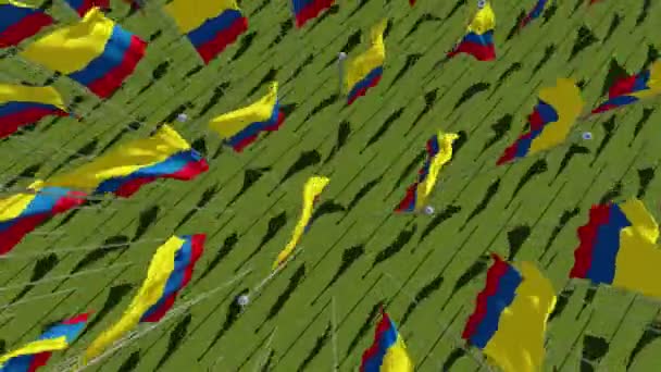 Columbia Flags Blowing Wind Green Field View Rendering Animation — Stock Video