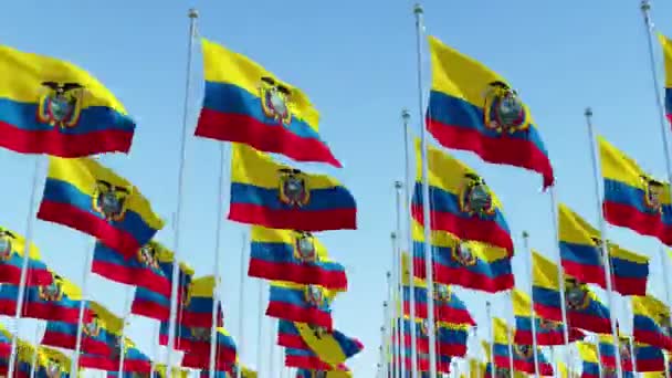 Many Flags Ecuador Fluttering Wind Flag Poles Row Blue Sky — Stock Video