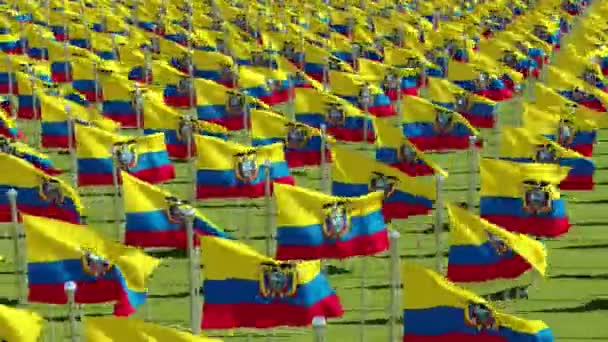 许多厄瓜多尔国旗在绿场的风中飘扬 渲染动画 — 图库视频影像