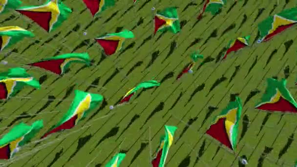 Guyana Vlaggen Waait Wind Groene Veld Bekijken Van Bovenaf Rendering — Stockvideo