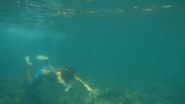 Подводный Мальчик Плавает Детское Погружение Море Водорослями Замедленная Съемка — стоковое видео