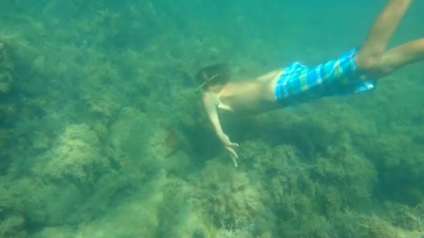 Junge Mit Schnorchelbrille Taucht Zeitlupe Unter Wasser — Stockvideo