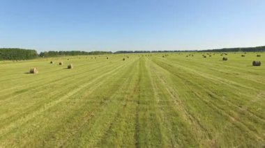 Havadan görünümü ile saman balya hasat yaz gün sonra sahada. Tarım sahne.