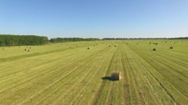 Uçuş stook saman saman balya ile alanın üzerinde. Tarım Çiftlik kırsal hava 4 k video hasat.