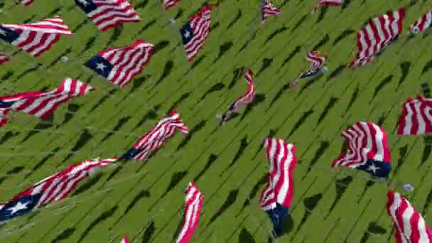 Liberia Flags Blowing Wind Green Field Top View Rendering Animation — Stock Video