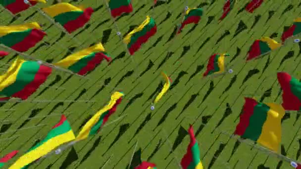 Λιθουανία Σημαίες Πνέει Στον Άνεμο Στο Πράσινο Πεδίο Άποψη Από — Αρχείο Βίντεο