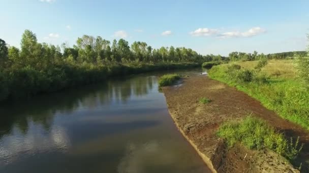 空中无人机镜头视图 飞越河流 村庄与森林 田野在晴天 阿尔泰地区 俄罗斯 雄伟的风景 — 图库视频影像
