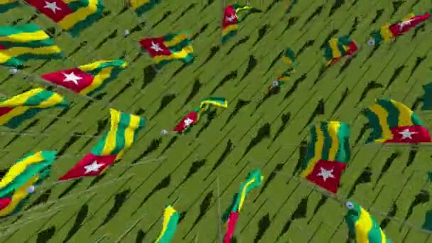 Bandeiras Nacionais Togo Soprando Vento Campo Verde Vista Cima Animação — Vídeo de Stock