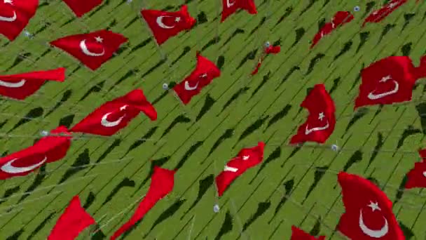 Turkish Flags Blowing Wind Green Field View Rendering Animation — Stock Video