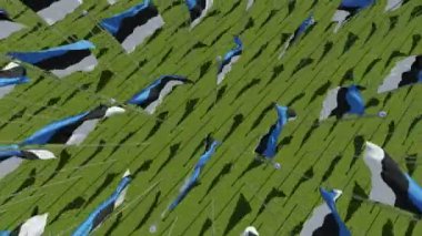 Güneşli bir günde, yeşil alana rüzgarda üfleme Estonya bayrakları yukarıdan görüntüleyin. 3D render animasyon