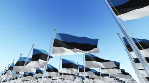 Beaucoup Drapeaux Nationaux Estonie Contre Ciel Bleu Rendu Tridimensionnel Animation — Video