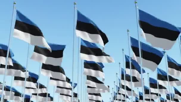 Viele Estnische Flaggen Wehen Wind Fahnenmasten Reihenweise Vor Blauem Himmel — Stockvideo