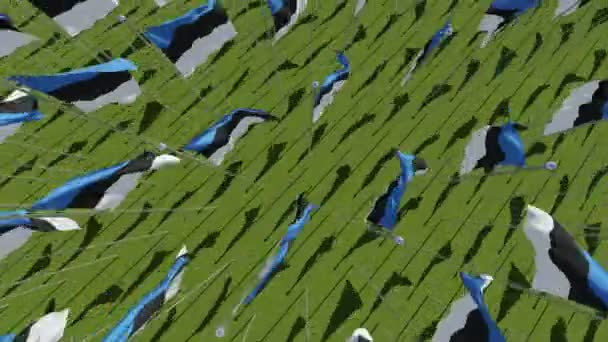 Estonian Flags Blowing Wind Green Field Sunny Day View Rendering — Stock Video