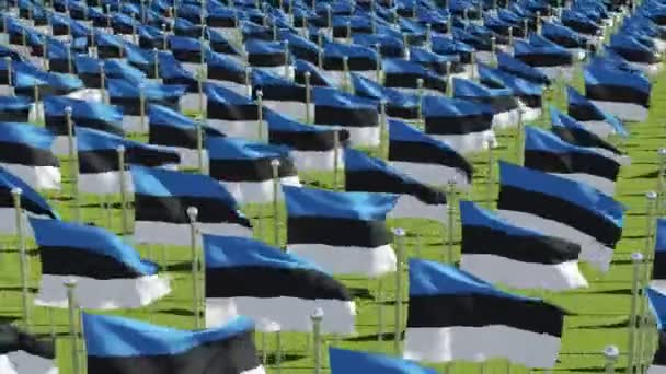 Veel Vlaggen Van Estland Groene Veld Drie Dimensionale Renderen Van — Stockvideo