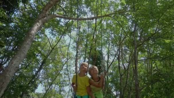 Chicos Balanceándose Columpio Árbol Disfrutar Libertad Verano — Vídeo de stock