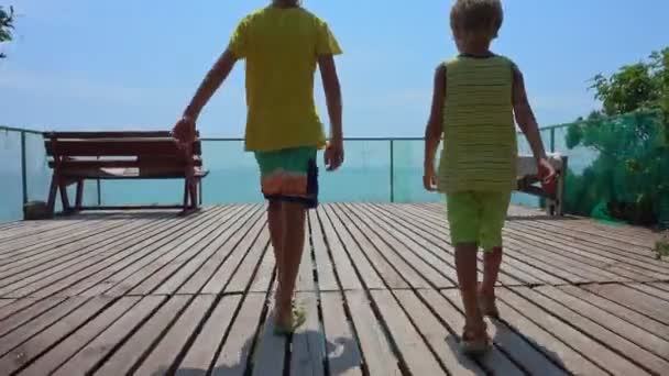 两个男孩兄弟一起去观景台欣赏碧绿的大海 — 图库视频影像