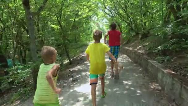 Three Kids Vacation Sunny Day Children Run Path Sea Resort — Stock Video