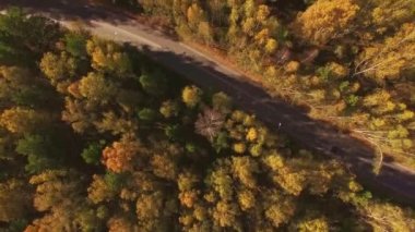 Güneşli bir gün sonbahar ormanda yolda hava görünümünü. Güzel manzara ile kırsal road, yeşil, sarı ve turuncu yaprak ağaçlarıyla. Uçak uçan üzerinden üstten görünüm