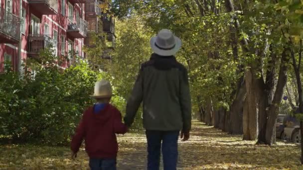 Hermano Mayor Caminando Con Hijo Menor Por Mano Largo Del — Vídeos de Stock