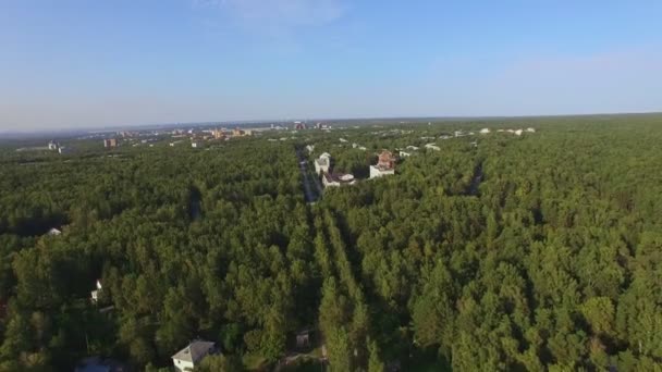 Luchtfoto Vlucht Een Prachtige Groene Woud Residentiële Huizen Voorsteden Van — Stockvideo