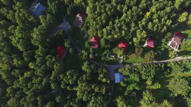 Flygfoto Flygande Över Vacker Grön Skog Och Bostads Hus Förorter — Stockvideo