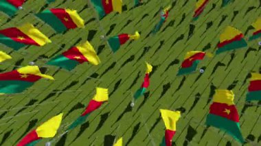 Yeşil alan Kamerun'da birçok bayrakları. Yukarıdan görüntüleyin. Üç boyutlu 3d animasyon oluşturma.