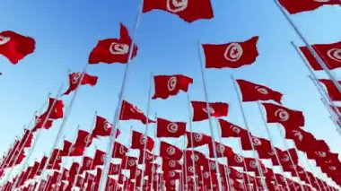 Birçok bayrakları bayrak direkleri mavi gökyüzü rüzgar içinde çırpınan Tunus. Üç boyutlu render animasyon.