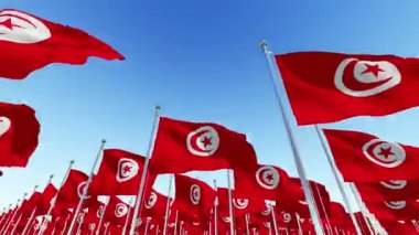 Birçok ulusal bayrakları Tunus mavi gökyüzü karşı. Üç boyutlu 3d animasyon oluşturma.