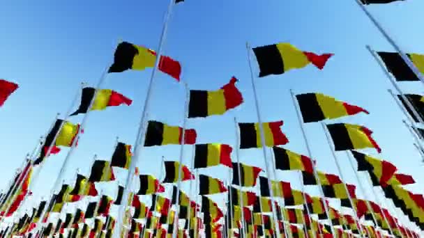 Många Flaggor Belgien Som Fladdrar Vinden Flaggstänger Mot Blå Himmel — Stockvideo