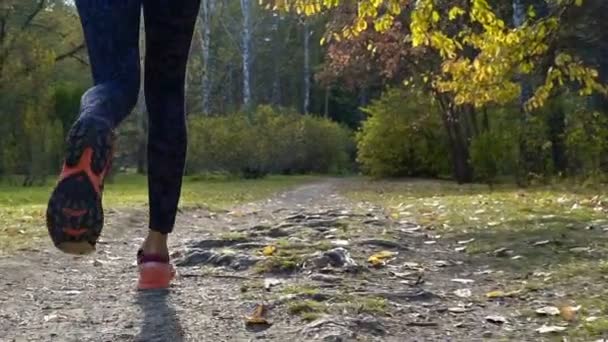 挑戦的なトラックでスポーツ靴身に着けている女性の足のクローズ アップ 道秋の公園でトレーニングを実行して — ストック動画