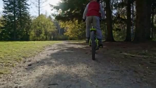 子供屋外サイクリング 公園で子供の自転車に黄金色の秋太陽が輝いています — ストック動画