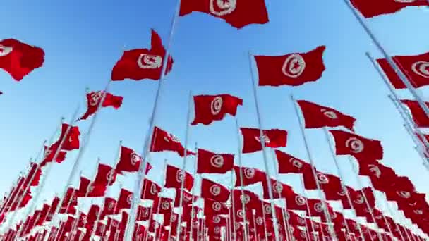 チュニジアの旗棒青い空を背景に風になびく多くのフラグ 次元レンダリング アニメーション — ストック動画