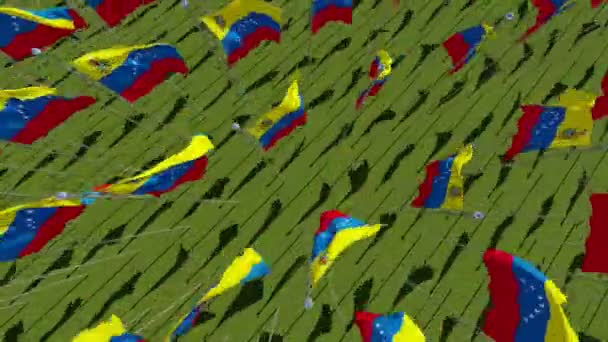 Viele Fahnen Der Venezuela Grünen Feld Blick Von Oben Animation — Stockvideo