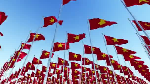 Muchas Banderas Vietnam Ondean Viento Los Postes Bandera Contra Cielo — Vídeo de stock