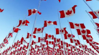 Birçok bayrakları bayrak direkleri mavi gökyüzü rüzgar içinde çırpınan Kanada. Üç boyutlu render animasyon.