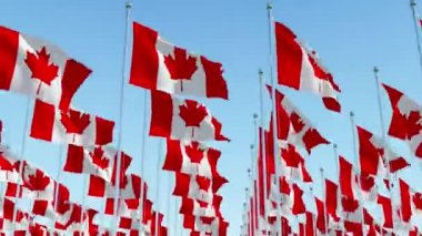 Birçok bayrak direkleri mavi gökyüzü karşı bir satırlardaki rüzgar bayrağı sallayarak Kanada. Üç boyutlu render animasyon.
