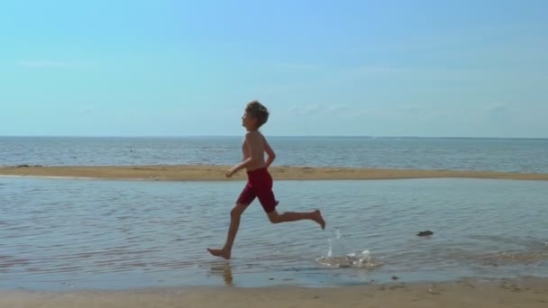 Ευτυχισμένο Αγόρι Τρέχει Ρηχά Νερά Στην Παραλία — Αρχείο Βίντεο